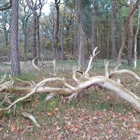 Gemuetlicher In Nahe Dem Meer, Cleaning Included * Pepelow
